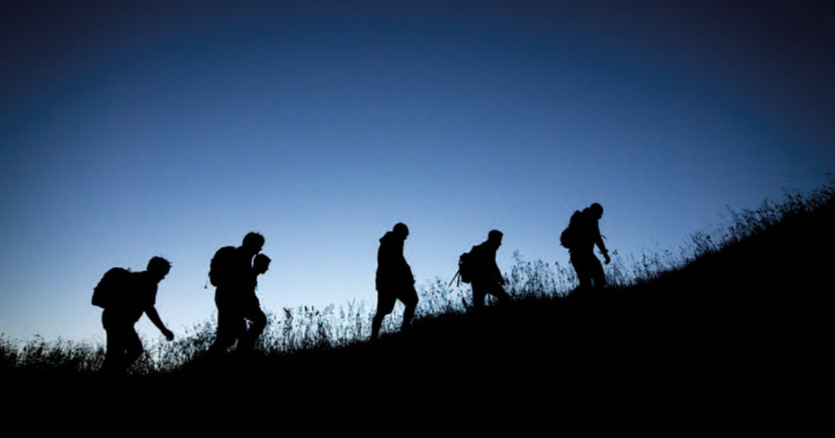 expert insights headline topic theme: we are the best